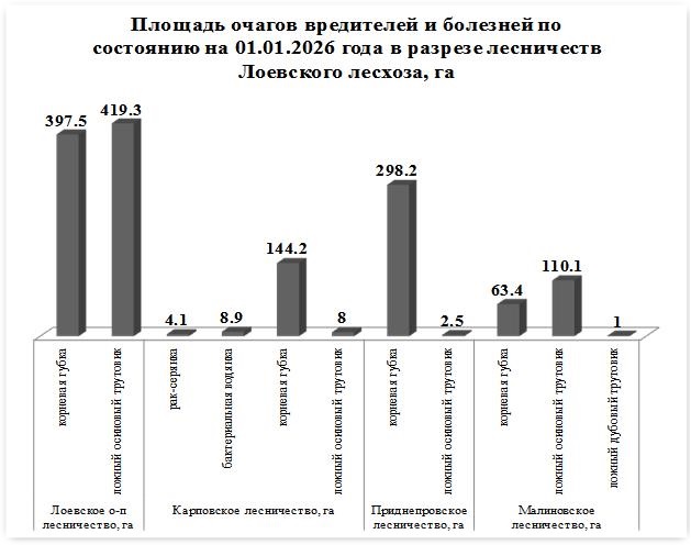 Безымянный д