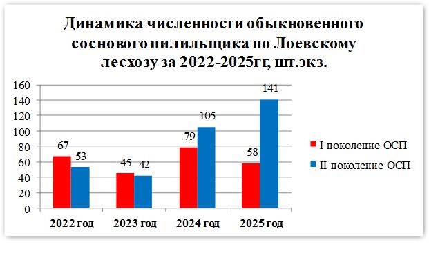 Безымянныйд3