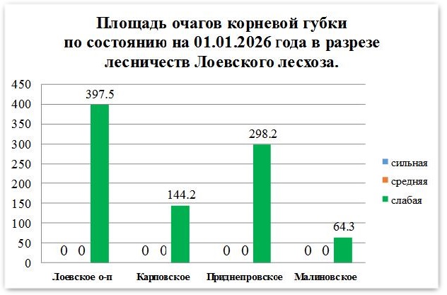 Безымянныйд4