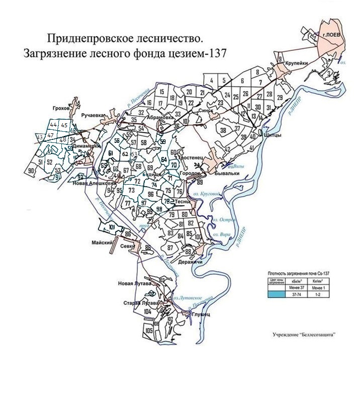 Приднепровское карта новая2025