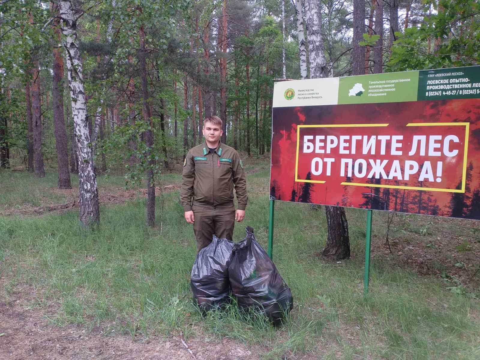 изображение viber 2025 06 02 09 56 40 834