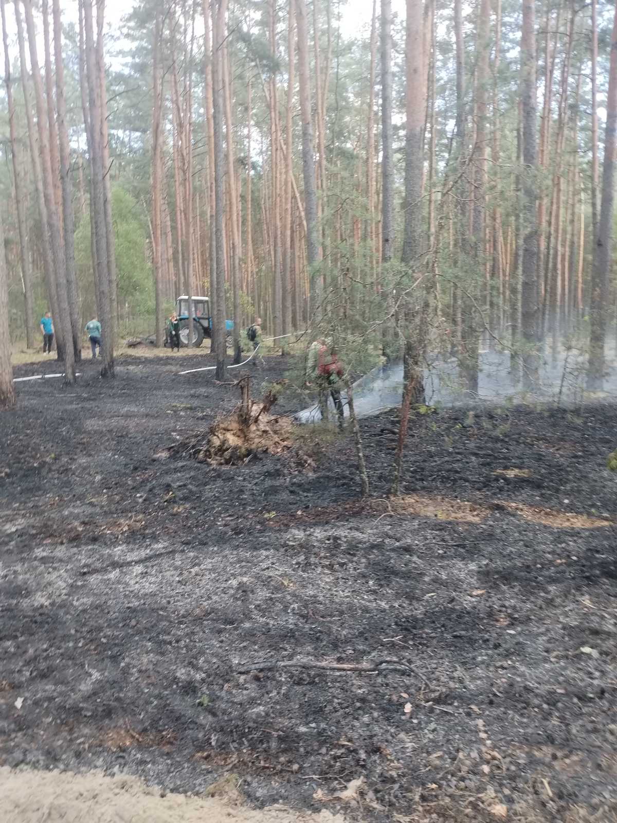 изображение viber 2025 06 02 09 56 46 611