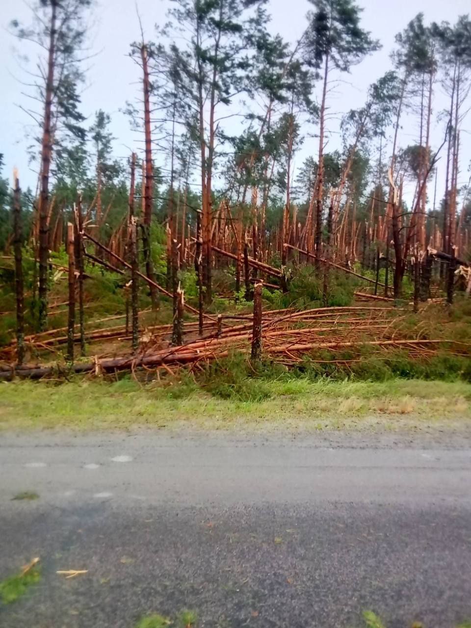 photo 2024 07 16 13 37 13