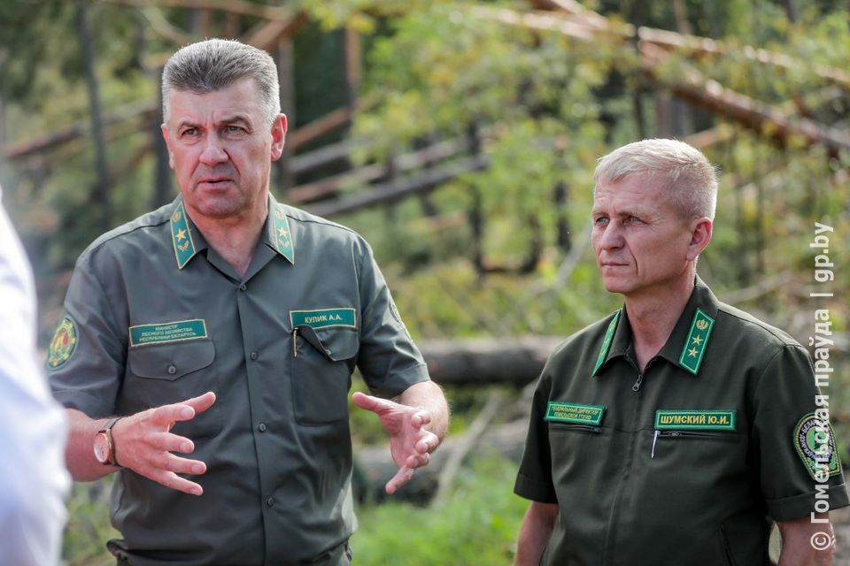 photo 2024 07 26 12 18 41