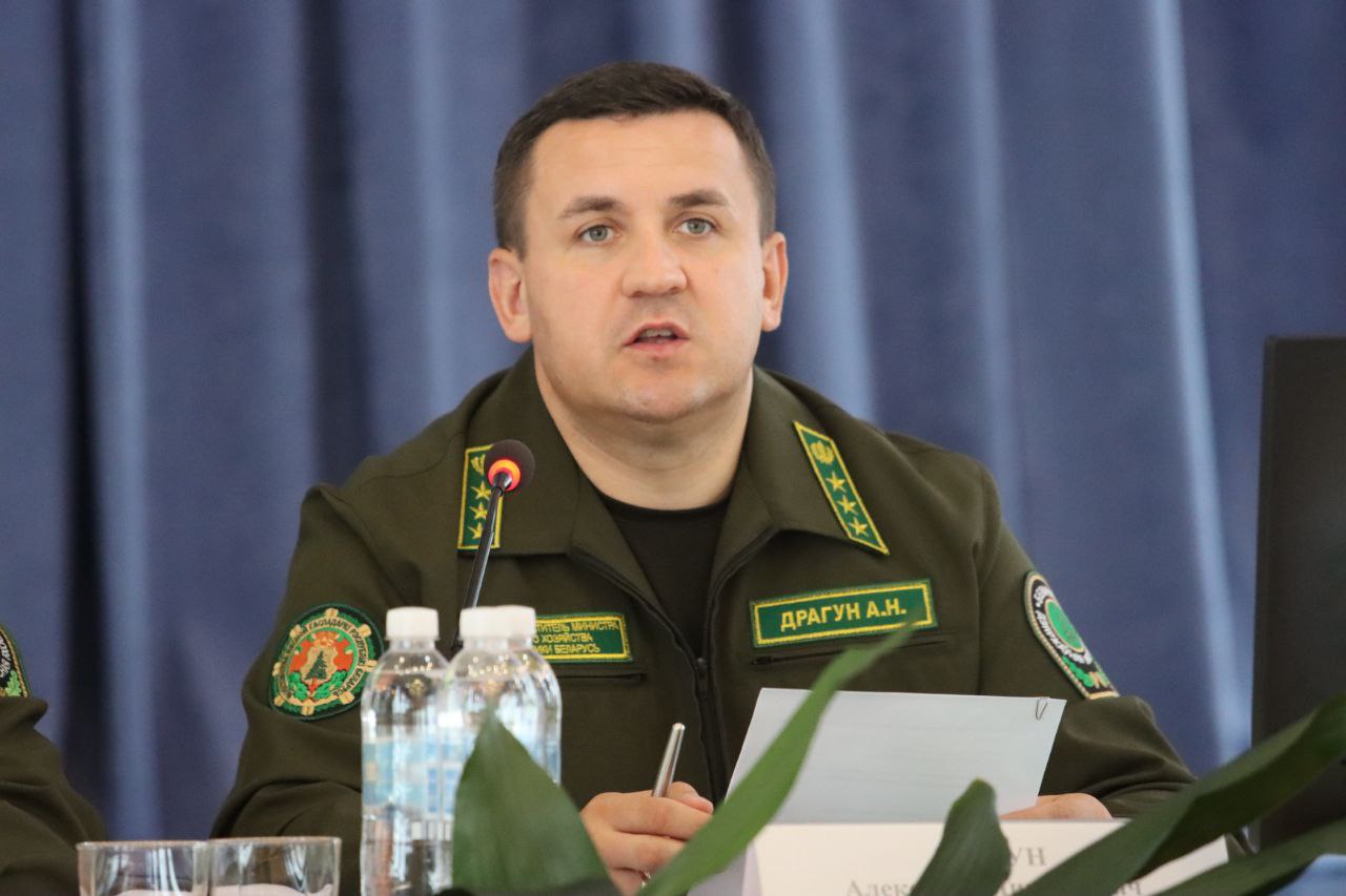 Коллегия Светлогорск 30 июля 24