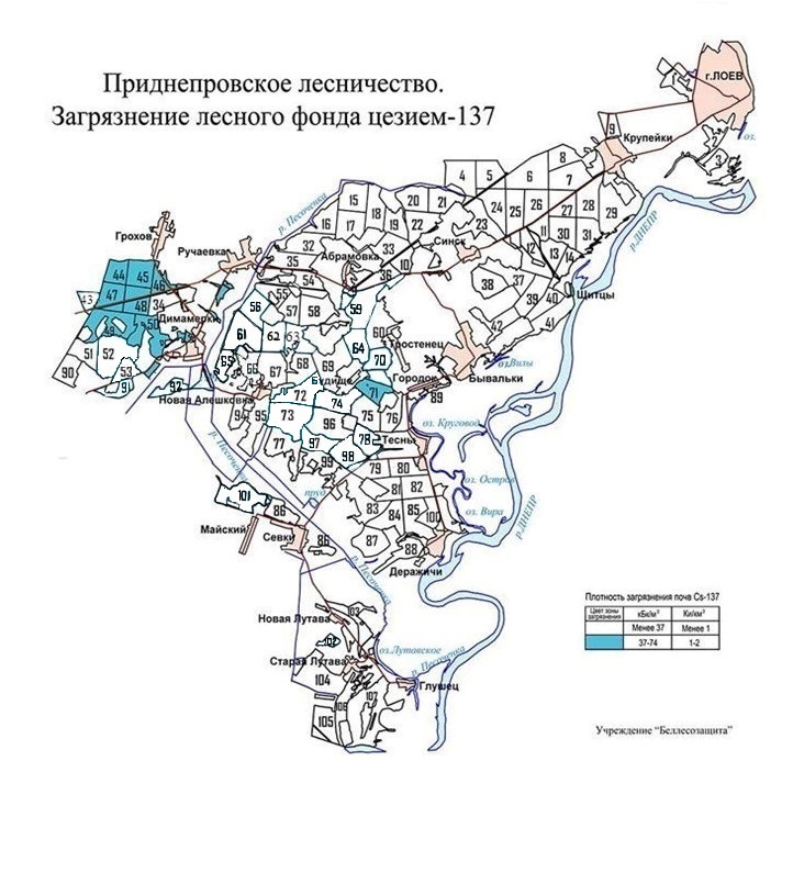 Приднепровское карта новая