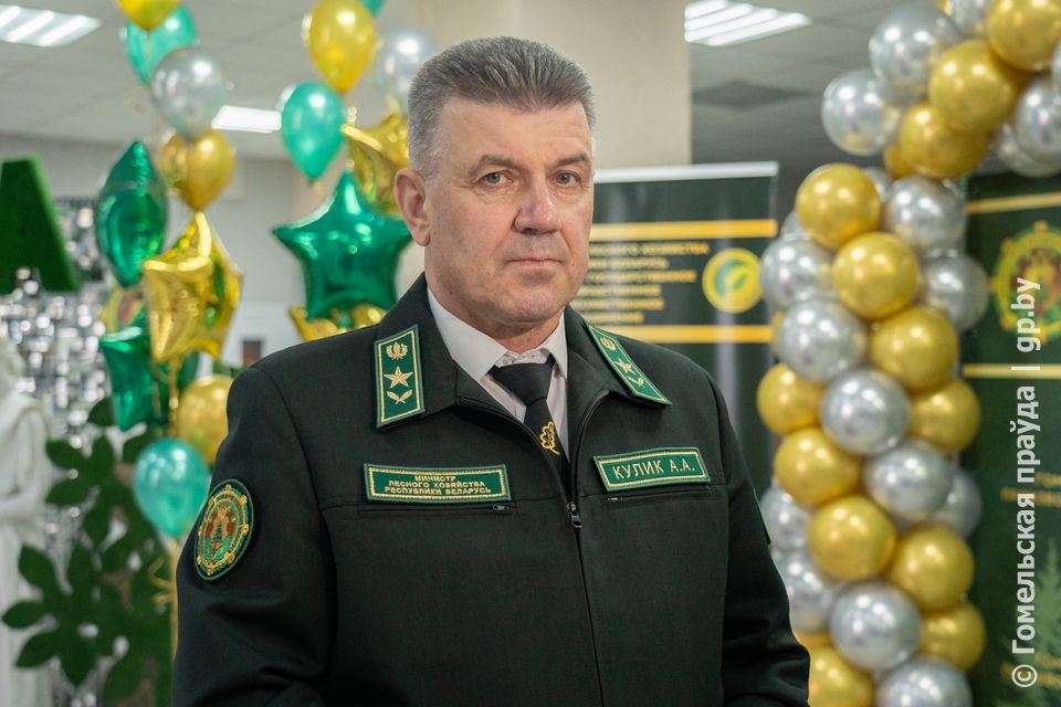 Кулик