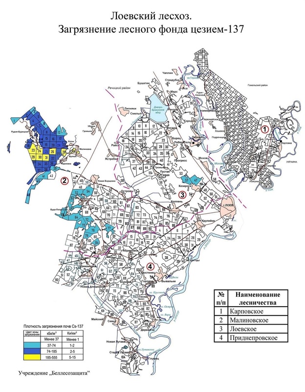 Общая карта