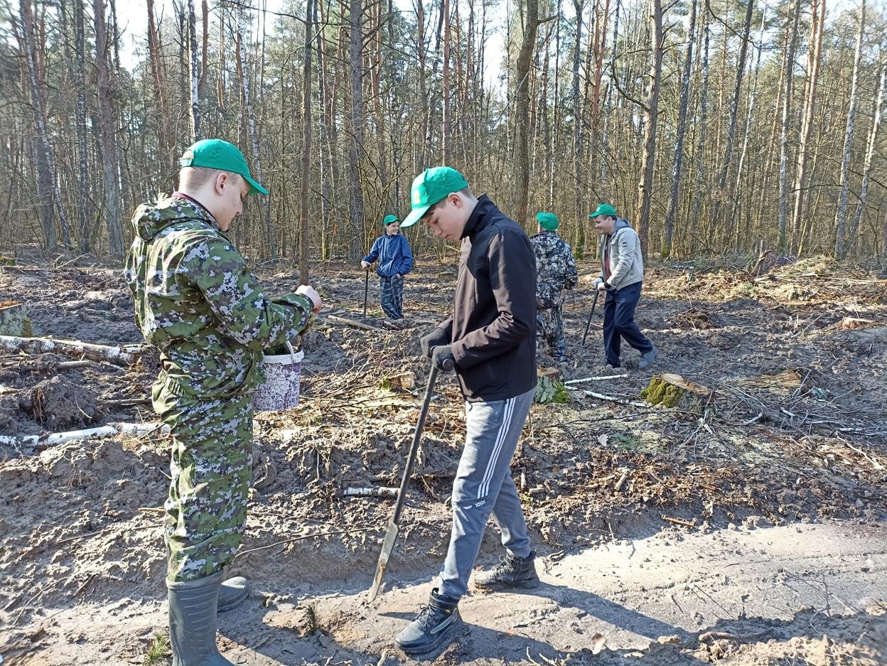 Посадка 2